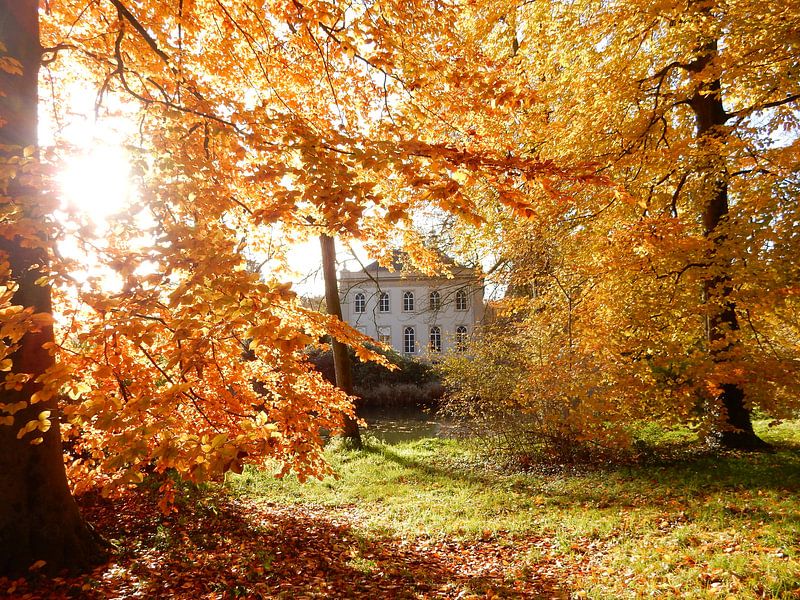 Sunlight through autumn leaves at Landfort castle in Megchelen in the Achterhoek region by Joke te Grotenhuis