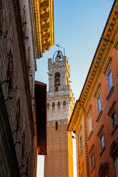 View to Torre del Mangia, Siena, Tuscany by The Book of Wandering