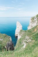 Der Kreidefelsen der Elefanten in Frankreich