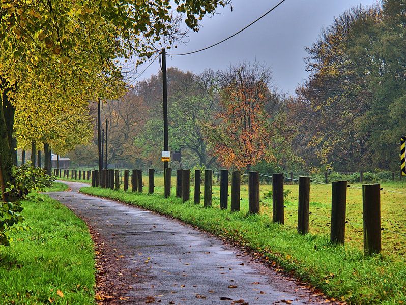 Le chemin est le but par Edgar Schermaul