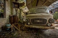 Barkas Barnfind