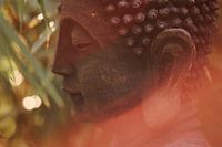 Buddha-Statue im warmen Sonnenlicht
