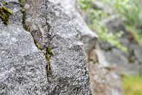 Stille in der Struktur - Schwedische Natur aus der Nähe von Nordic Details 010