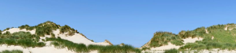 Panorama des dunes de sable un jour d'été par Sjoerd van der Wal Photographie