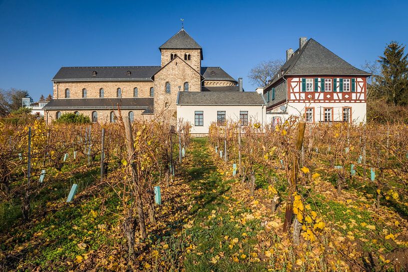 Basilika Sankt Ägidius in Mittelheim - Älteste Kirche im Rheingau par Christian Müringer