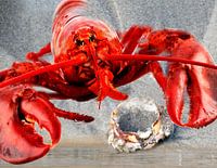 Homard rouge sur la plage avec un crabe