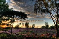 Den Treek estate III Amersfoort