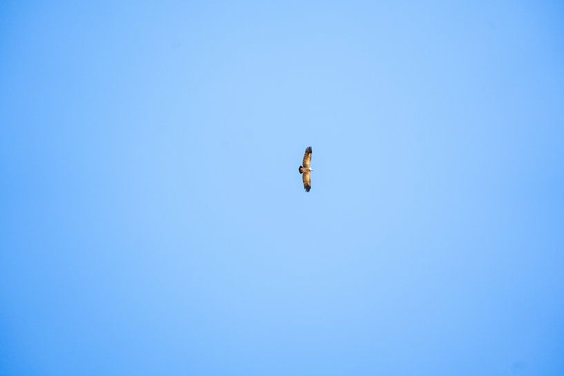 Vol au-dessus des montagnes du Drakensberg par Lone Drifters