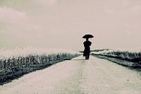 rapeseed path with walking figure