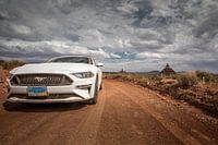 Mustang in Valley of the Gods