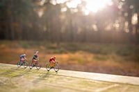 Herbststimmung im Wald