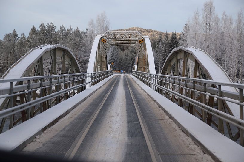 Bijzondere spoor-weg-brug in Zweden by Carin van der Aa