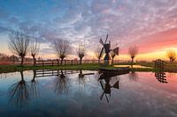 Wormerse Ochtendrust