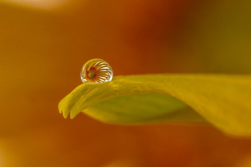 Reflexion von Tanja van Beuningen