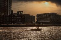 Rotterdam, water taxi at low sun