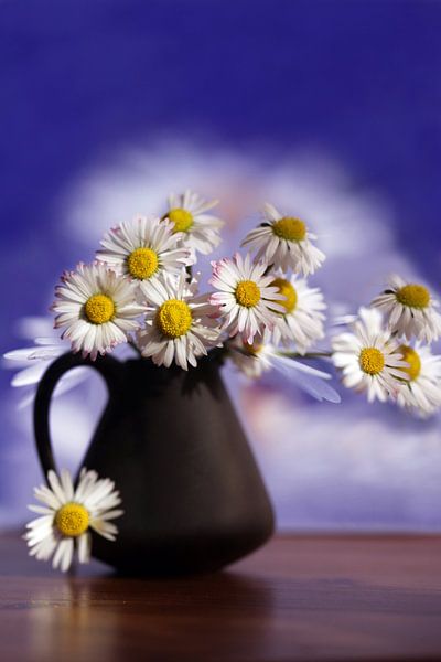 Bloemen Stilleven by Renate Knapp