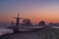 Mill the Butterfly during a cold spring morning