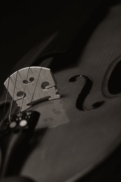 Detail Viool by Photo- ER