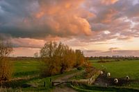Gelderseaarde dans la lumière de fin de soirée
