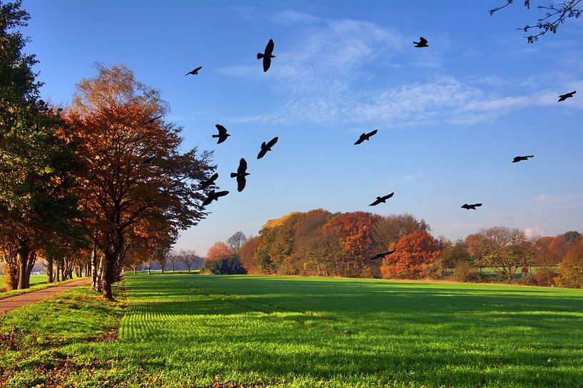 Blick ins Land von Edgar Schermaul
