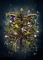 Ich werde noch weiter wachsen