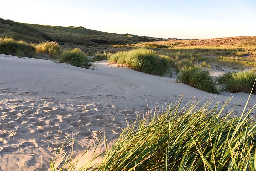 Sunset in the Kerf by Rob Donders Beeldende kunst