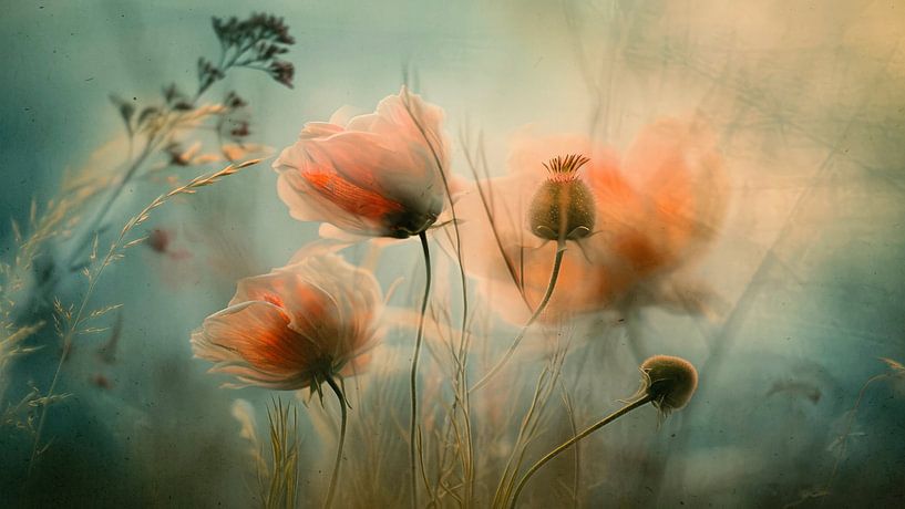 Floral Fusion No 2 von Treechild