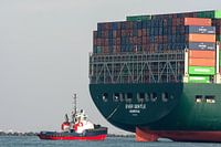Schlepper im Einsatz im Hafen von Rotterdam.