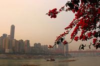 Yangtze Fluss Poesie 1 - Chongqing, China