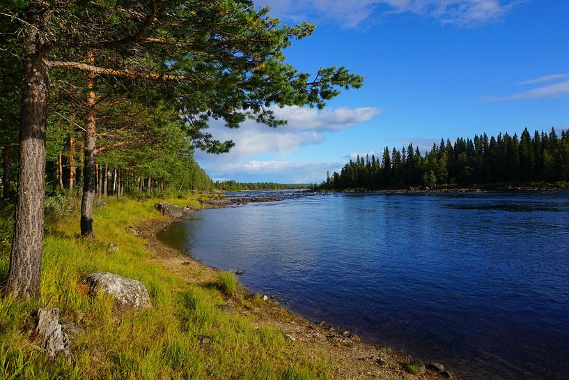 Lake in Sweden's beautiful nature by Thomas Zacharias