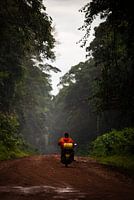 A motorcyclist in Kakamega Forest