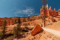 parc national du canyon brice