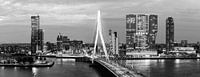 Rotterdam Erasmus Bridge black and white