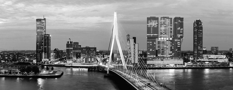 Pont Erasmus de Rotterdam noir et blanc par Midi010 Fotografie
