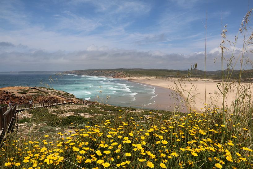 Vue sur l'océan portugal sur un magnifique parterre de fleurs jaunes par Paul Franke