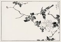 Illustration de Blue Robin et Rose par Numata Kashu