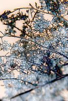 Abstraktion der Sache #002b