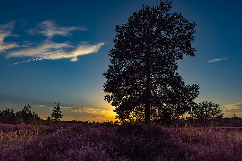 Heathrow mit Sonnenuntergang, Drenthe von Gert Hilbink