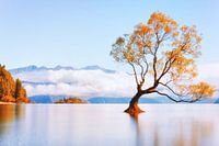 Der Wanakabaum (Golden)