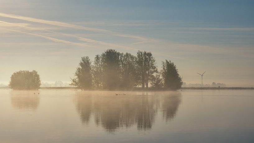 Bauminsel von Lex Schulte