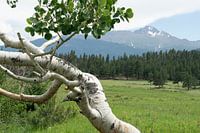 Espen, Colorado, United States