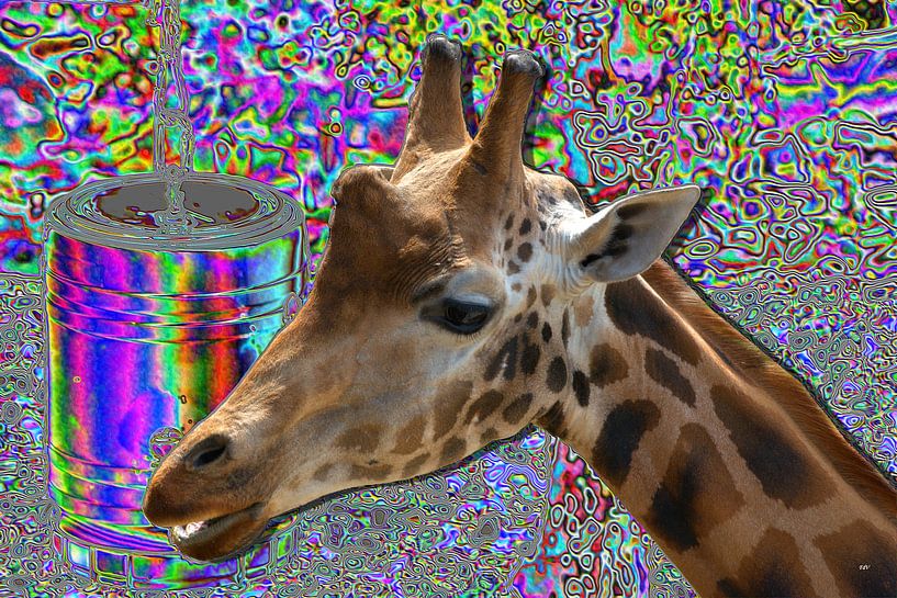 Giraffe von Franciska de Vos