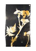 Plantes botaniques et fleurs print Whistlewort