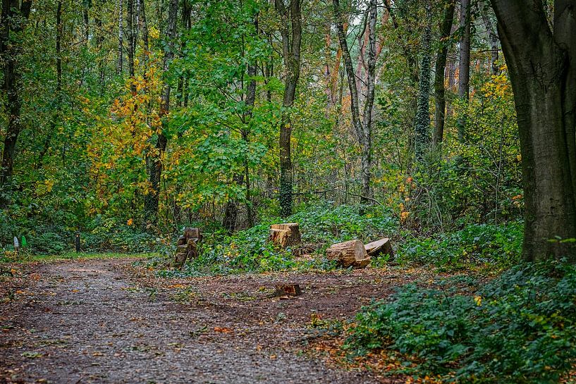Autumn colours of the Black Water by Jos Saris