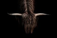 Pouvoir mystique - cornes d'un highlander écossais