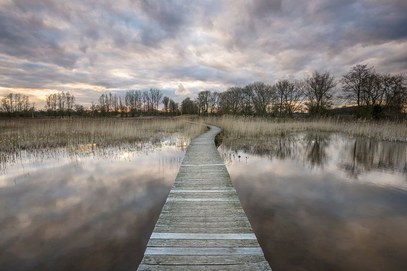 Beekbergerwoud par Frederik van der Veer