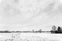 Black and white landscape