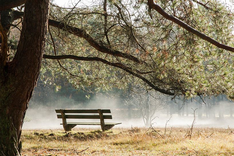 Bankje in de mist by Aukje Ploeg