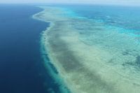 Grande barrière de corail