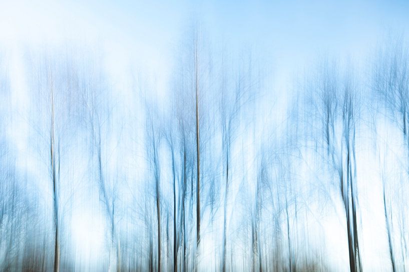 Arbres d'hiver abstraits en mouvement. par Christa Stroo photography
